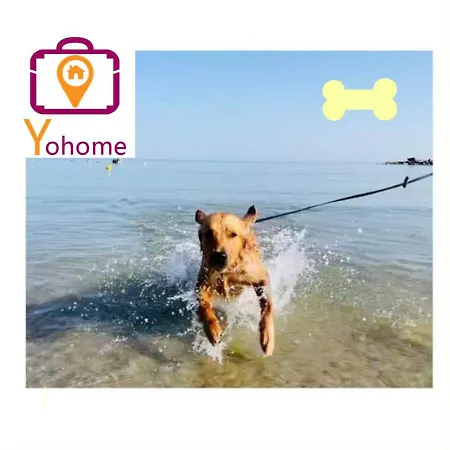 Virgi Con Vista Mare A By Yohome
